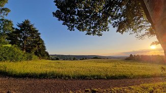2025.05-Luceny zu Besuch in Waldesch-041